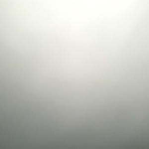 Meet your Posher, Jada